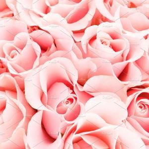 Meet your Posher, Liz